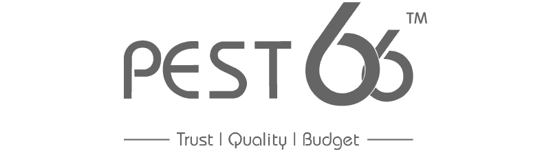logo-8